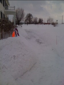 20110212-111238.jpg